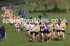 Mens Under-20s, 2024 CAU Inter Counties Cross Country Champs., Wollaton Park, Nottingham. Photo: David T. Hewitson/Sports for All Pics